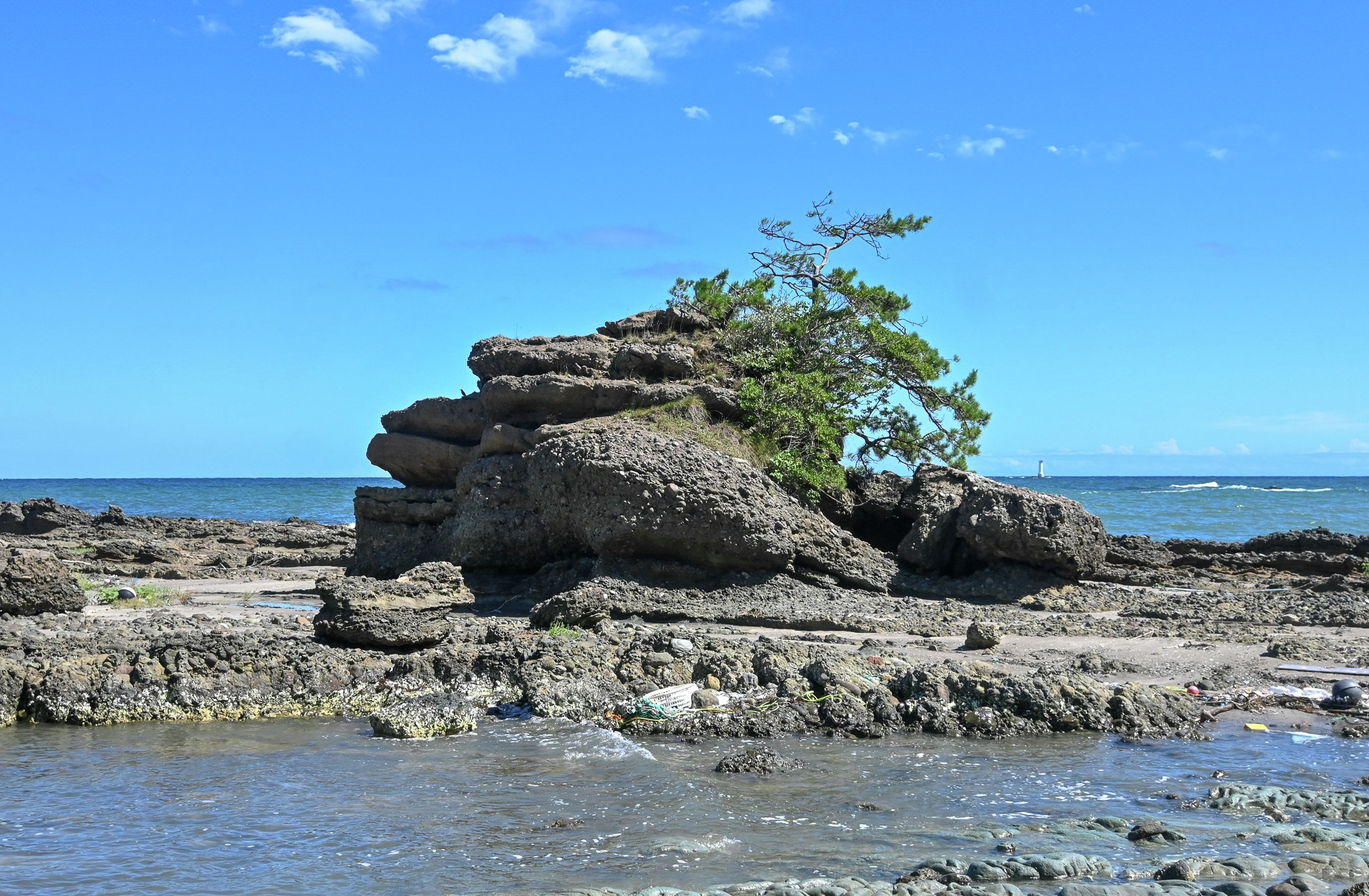 cover of episode 能登半島から福井に南下　目撃者の動画から見えた背景（イルカをたどって②） #50-479