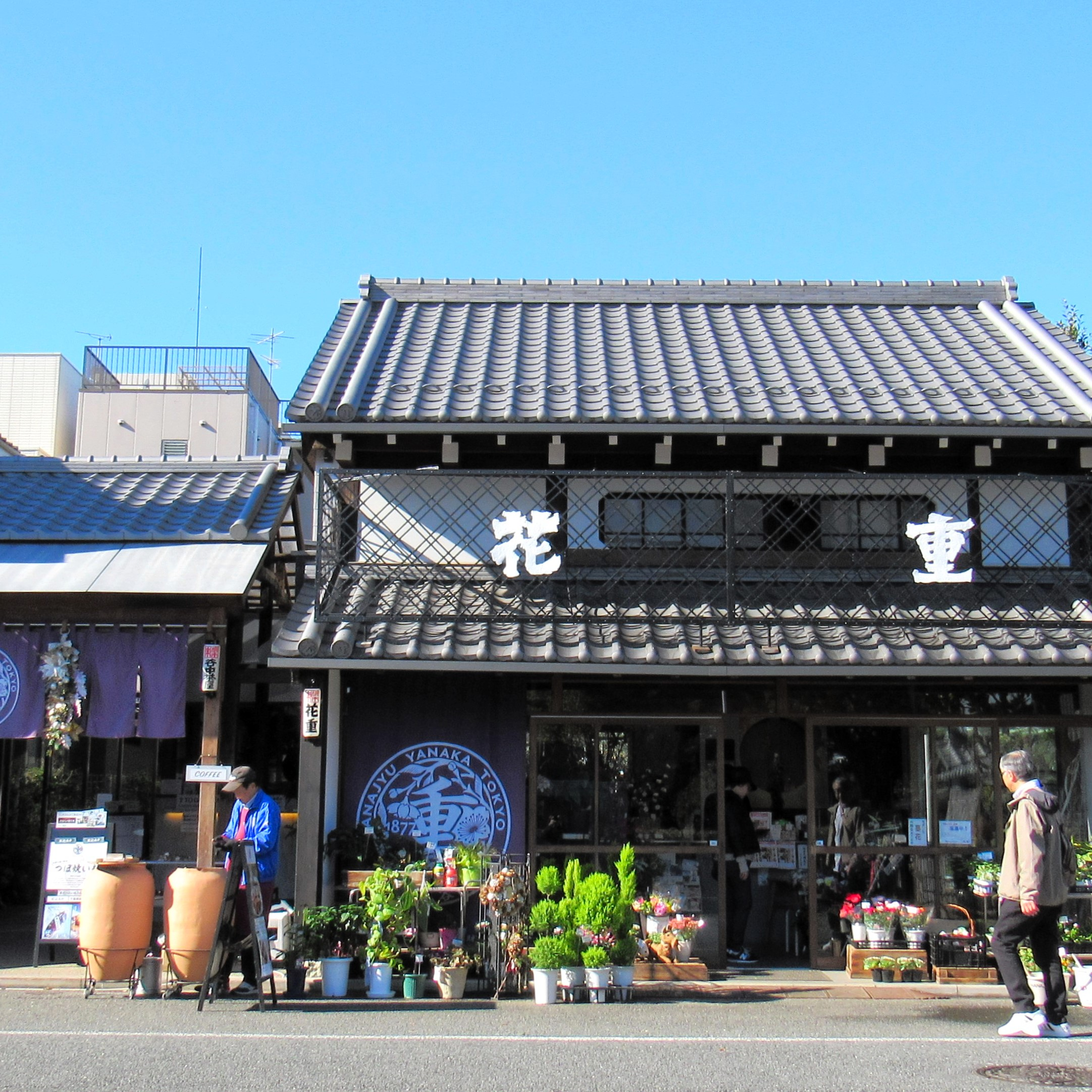 谷根千に行くなら、花屋とカフェに寄ってって　現代アーティストが「亡霊」をみたホテル　建モノがたり #50-434