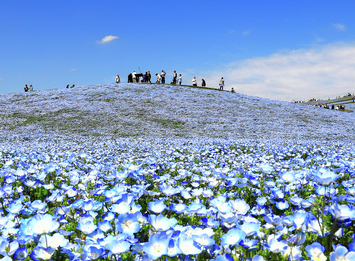 キャッチボールしようぜ　5代目新メンバーは冒険・突端・車が好きな30歳 #868