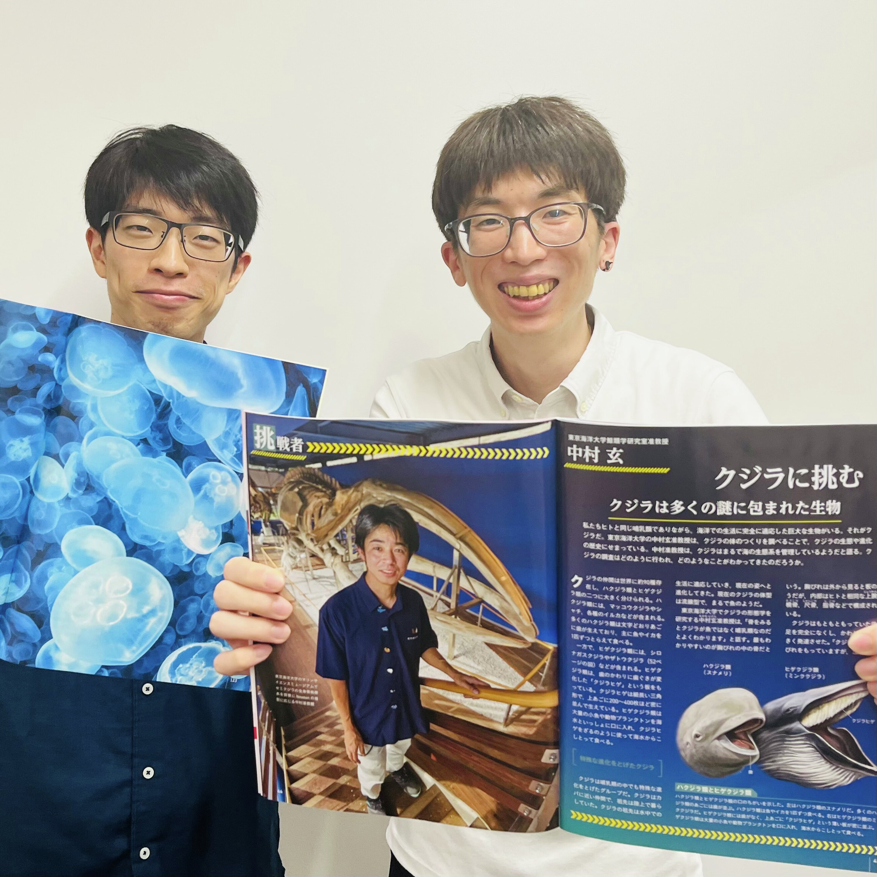 へんてこなクラゲ、若返りも合体も 雑誌「Newton」のイラスト描いてます 細部も見てね #944