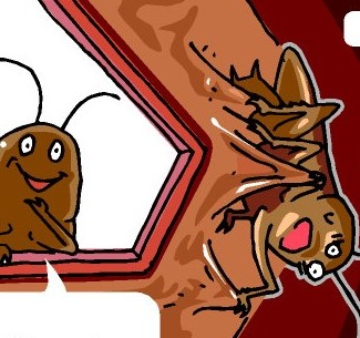 #222 それが沖縄の掟、かも　「G」に勝とうとしてはいけない