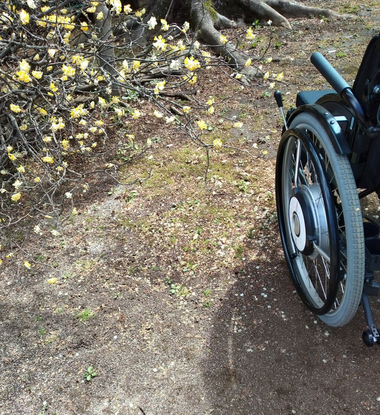 「何をしてほしいですか？」の一言が大きな助けに　車いす生活の気づき（後編） #347