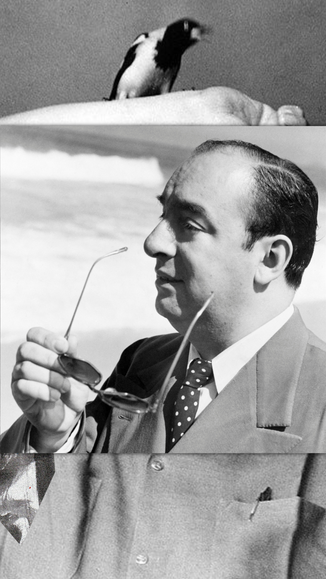 Neruda, sus casas y el mar
