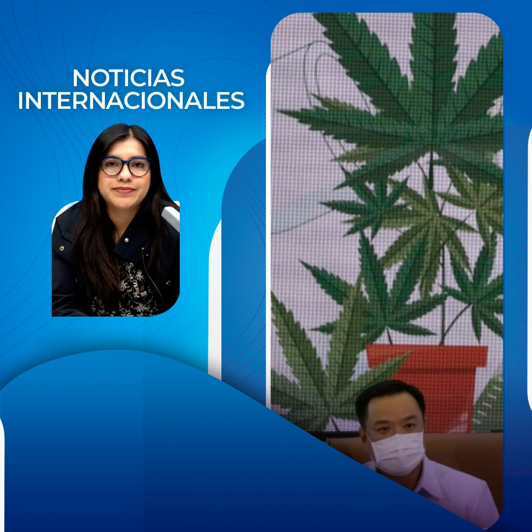 Tailandia, primer país de Asia en despenalizar la marihuana episode artwork