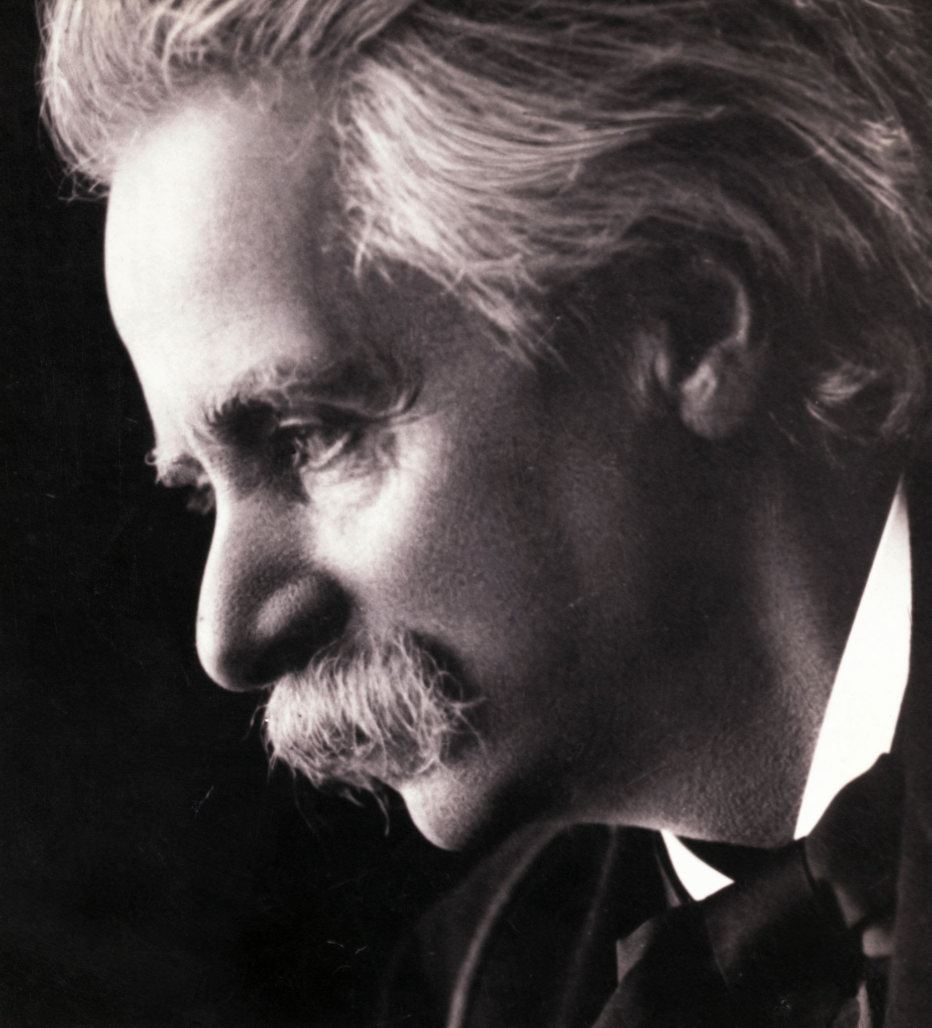 Imagen de apoyo de  Edvard Grieg, el poeta del norte