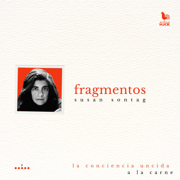 Imagen de apoyo de "La conciencia uncida a la carne", de Susan Sontag