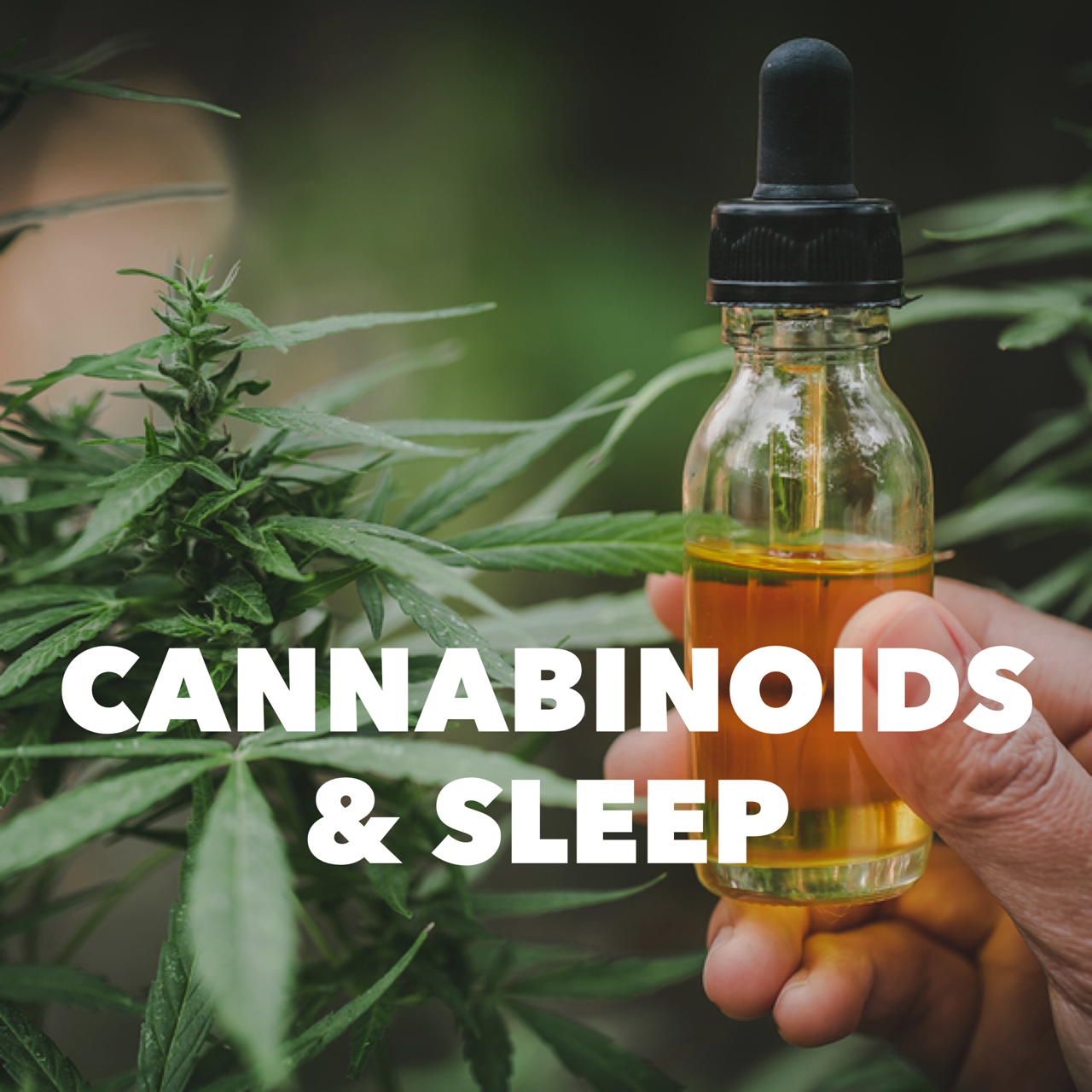 Cannabinoids and Sleep