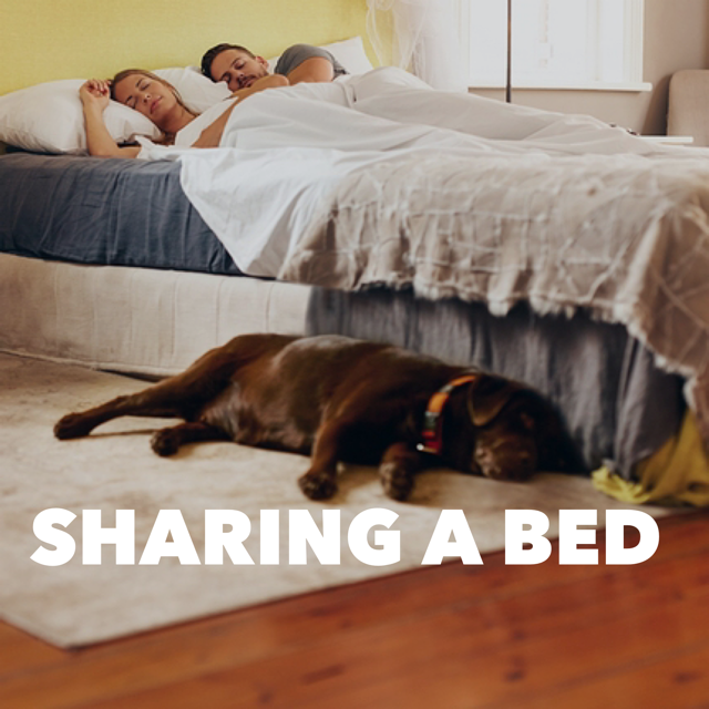 Sharing a Bed