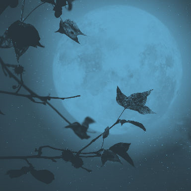 הנושא שמפרק משפחות