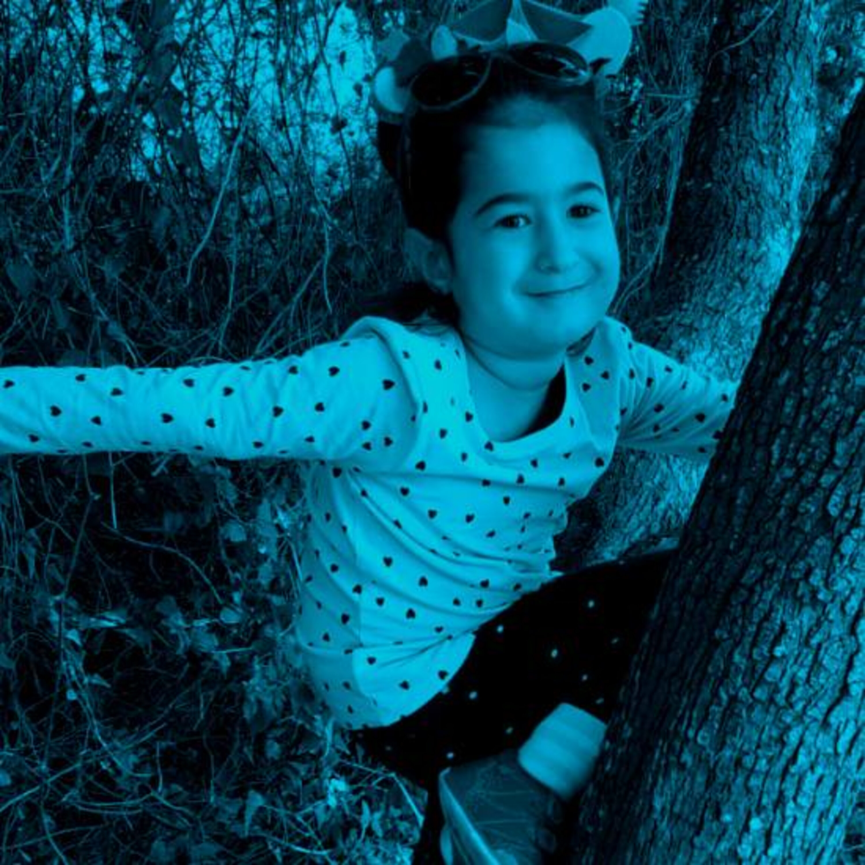 אמירה 2: נוצות