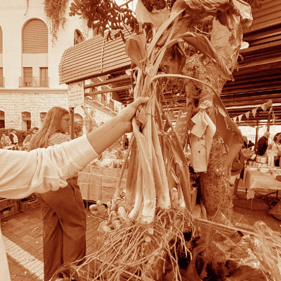 שוק האיכרים ביפו