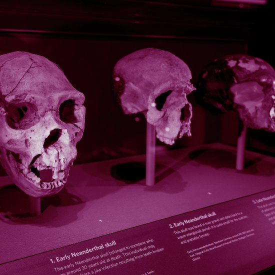 סוף העולם בלוז