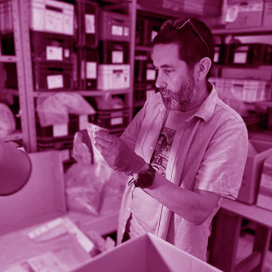 כל הלילה גילינו סודות של הגוף