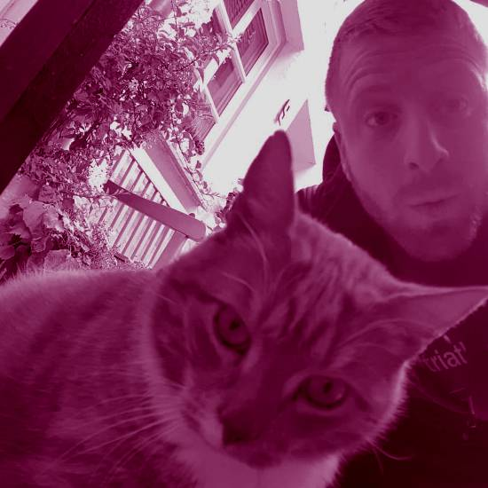 חתול קטן וג'ינג'י רציתי כבר מזמן