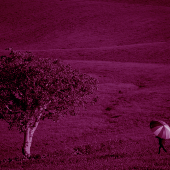 מר לי בפה כמו עץ השדה