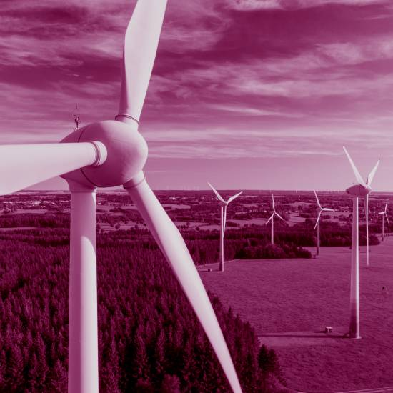 איזו רוח טובה הביאה אותך הנה