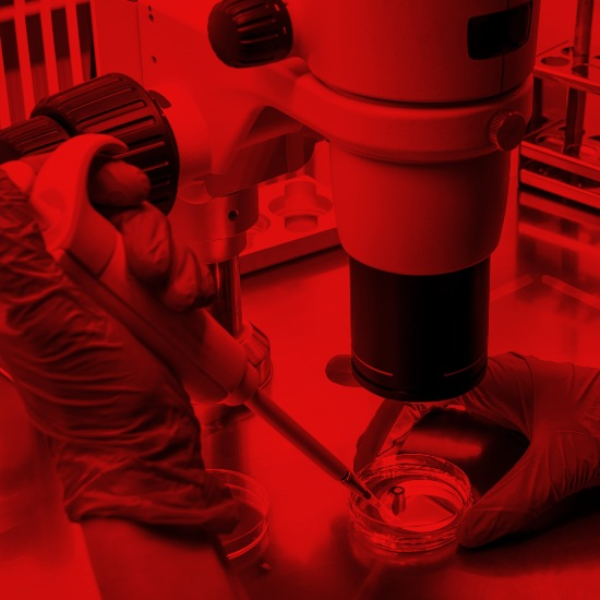 שבב לריפוי סרטן