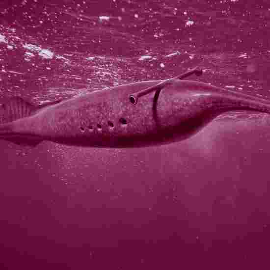 תעלומת מפלצת הטולי