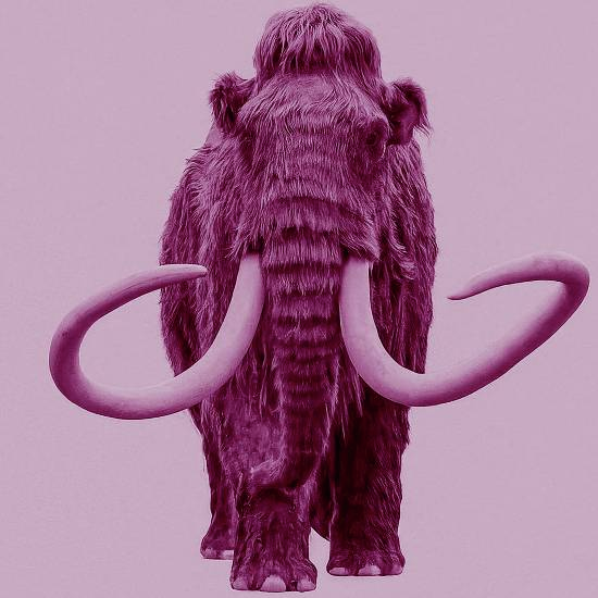 כדור בשר!... מת לאכול כדור בשר