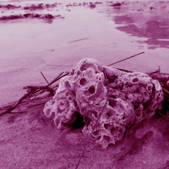 חזרת פתאום, הנה אתה בבית