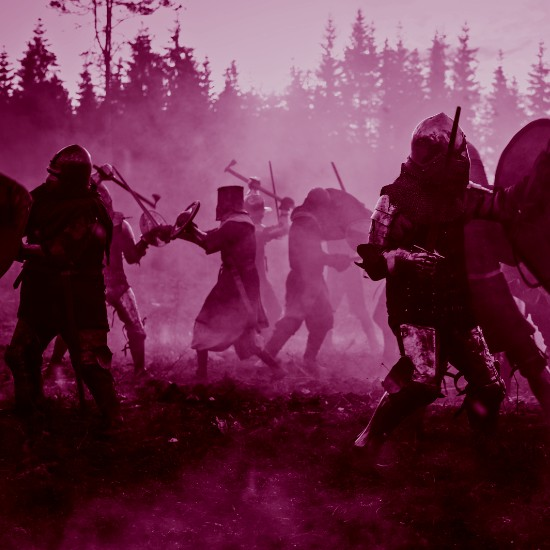 התנהגות ברברית