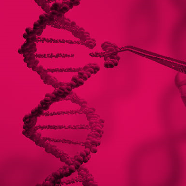 מה אנחנו יודעים על ה-DNA?