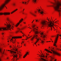 סיכול ממוקד של חיידקים עמידים לאנטיביוטיקה