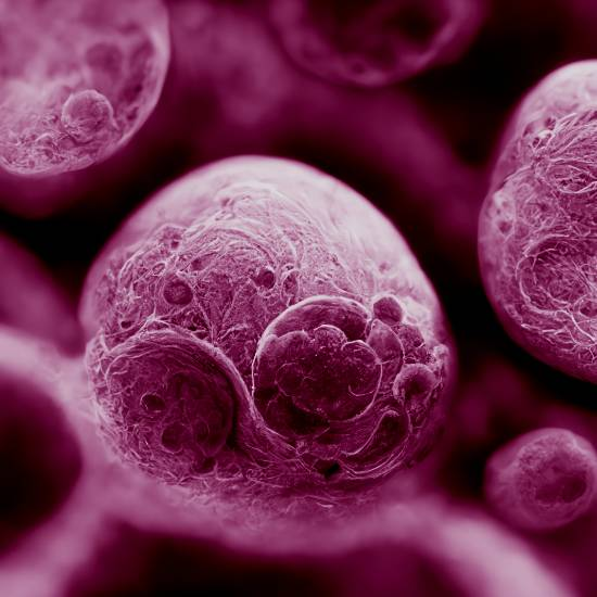 ואני אנסה לתקן אותך...