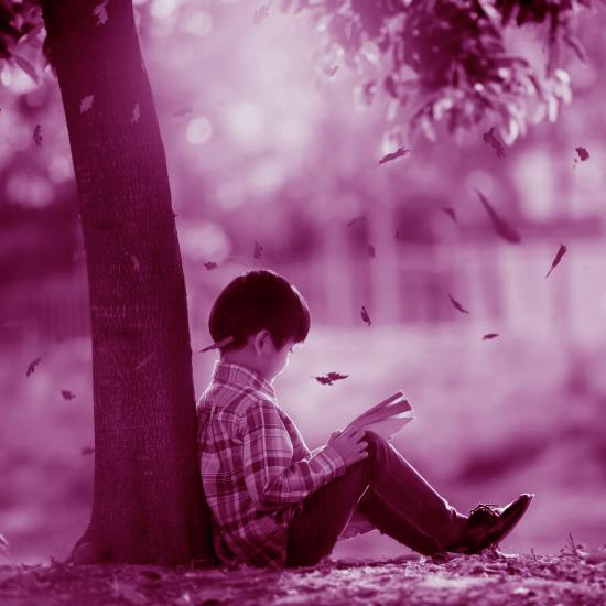 אז תחת איזה עץ לשבת