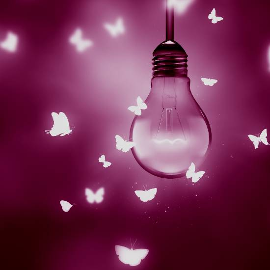 כמו פרפר לאש