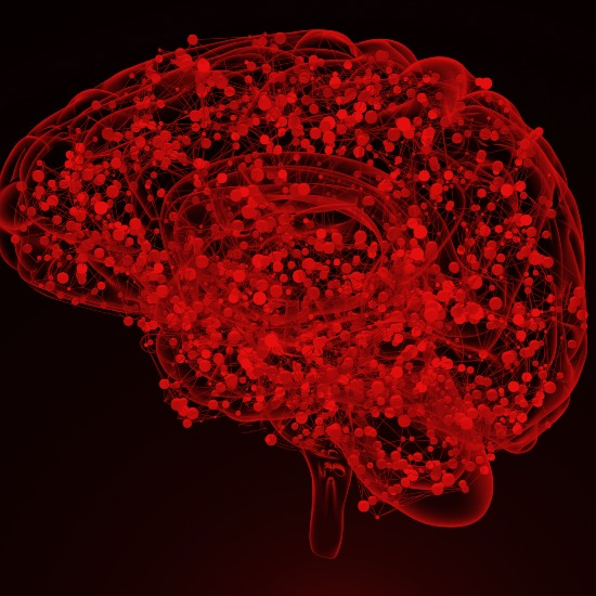 שינויים הורמונליים ואלצהיימר