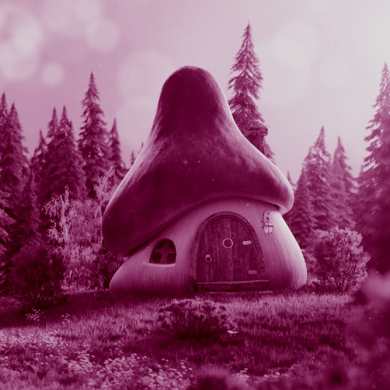 לבנות בתים מפטריות