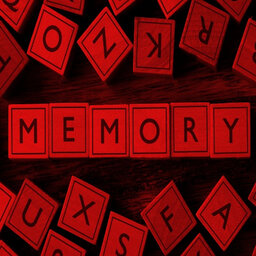 איך זיכרונות מאוחסנים?