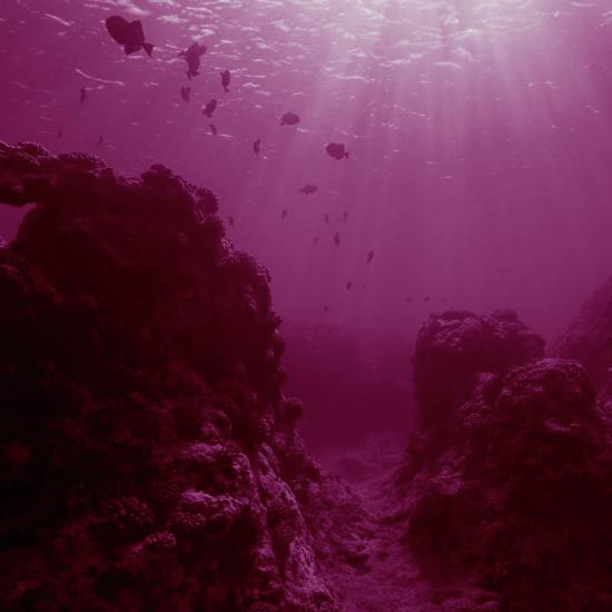 אם אנו שומעים בסביבה מהומה, אנחנו יורדים אל מתחת למים