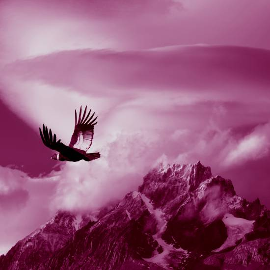 הקונדור על האנדים עת נעור עם האור עת נעור פרש כנף אט אט