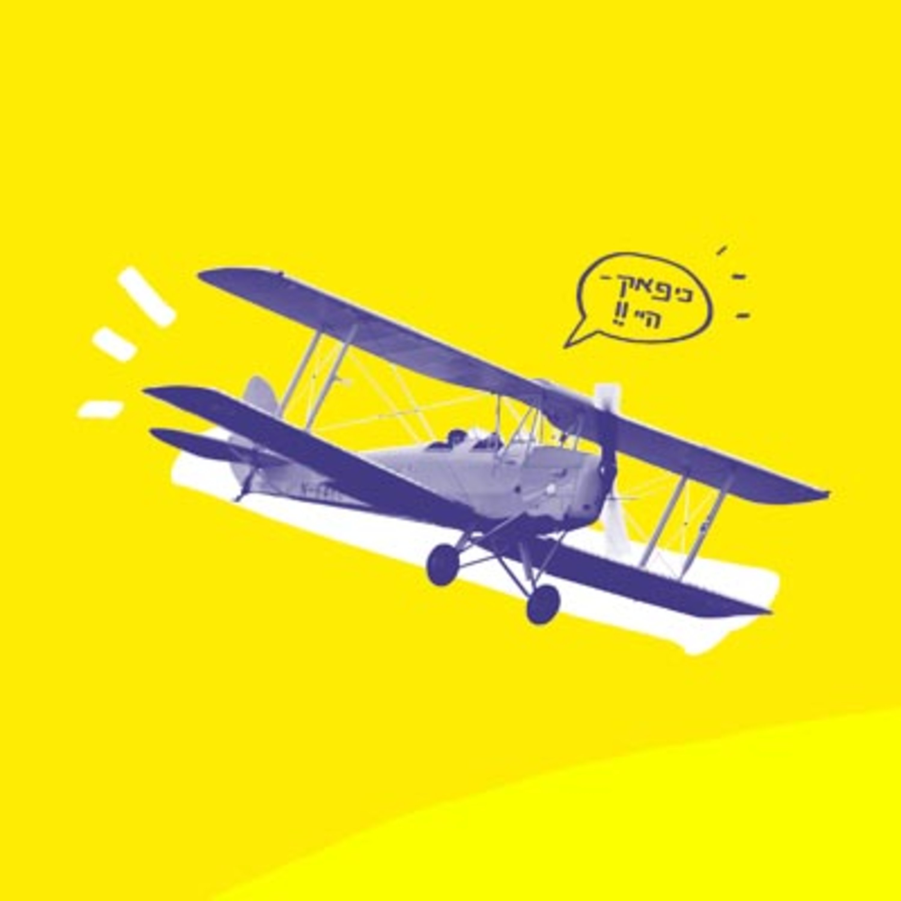 פרק 4: האם כדאי לקנות כדי למכור? פרק 4: האם כדאי לקנות כדי למכור?