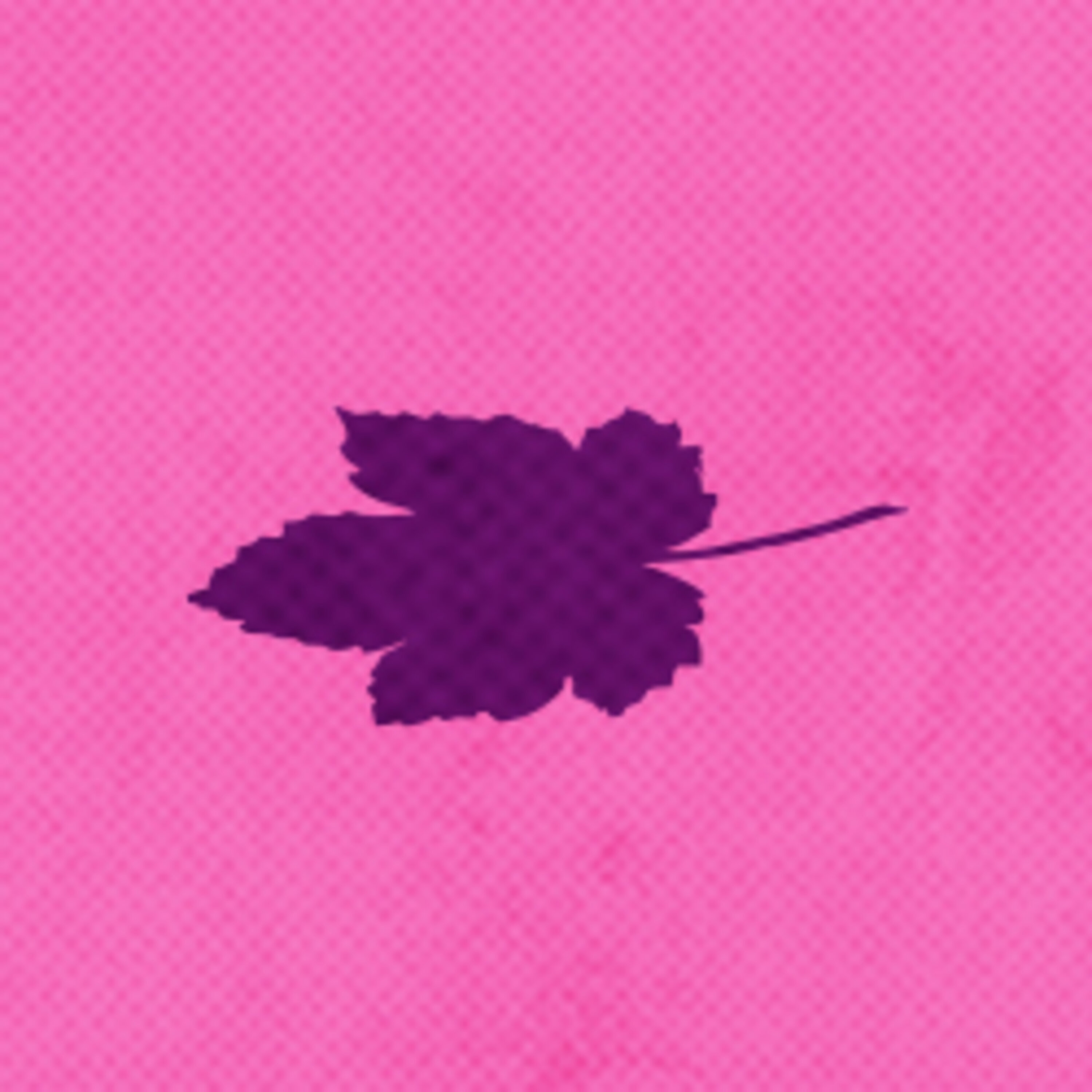 מתאמנת לנשור