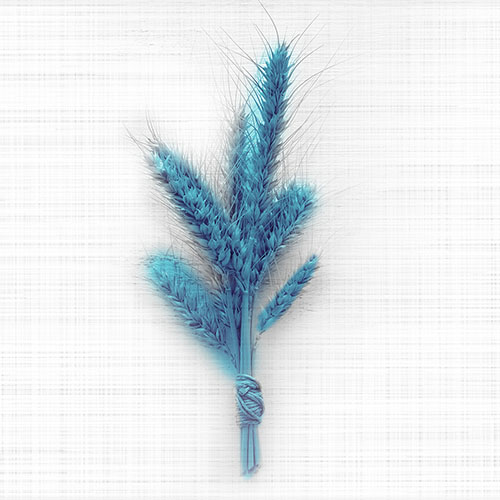 שואל ומשיב 4.12