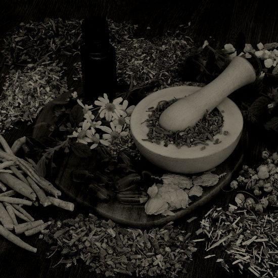 צמחיי מרפא: חלק 3