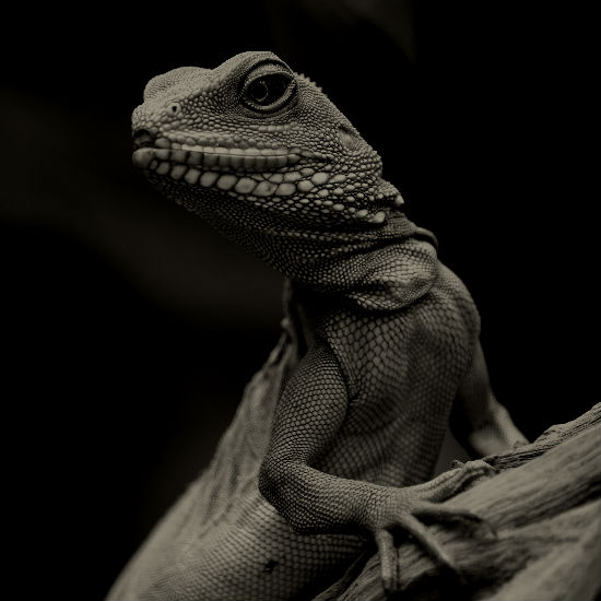 מיני זוחלים: חלק 2