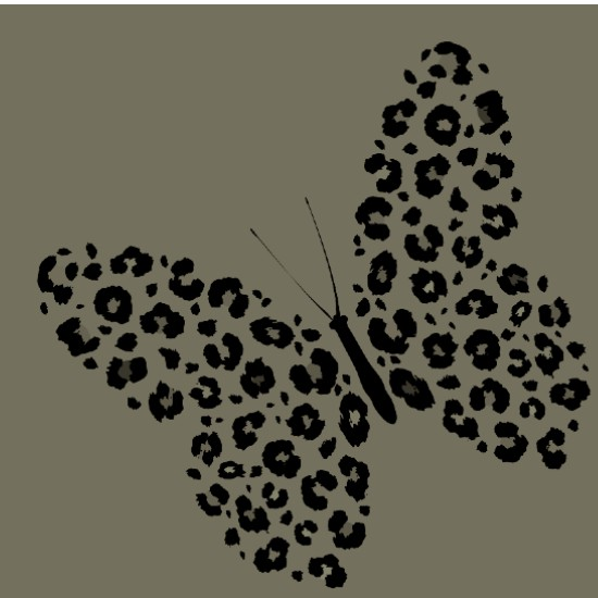 חיפושיות פרפרים ועשים - חלק 2