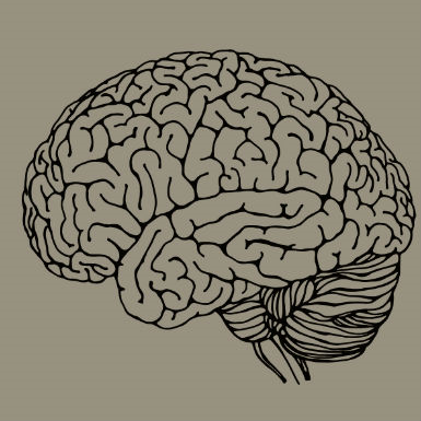 הפסיפס האנושי: חלק 2