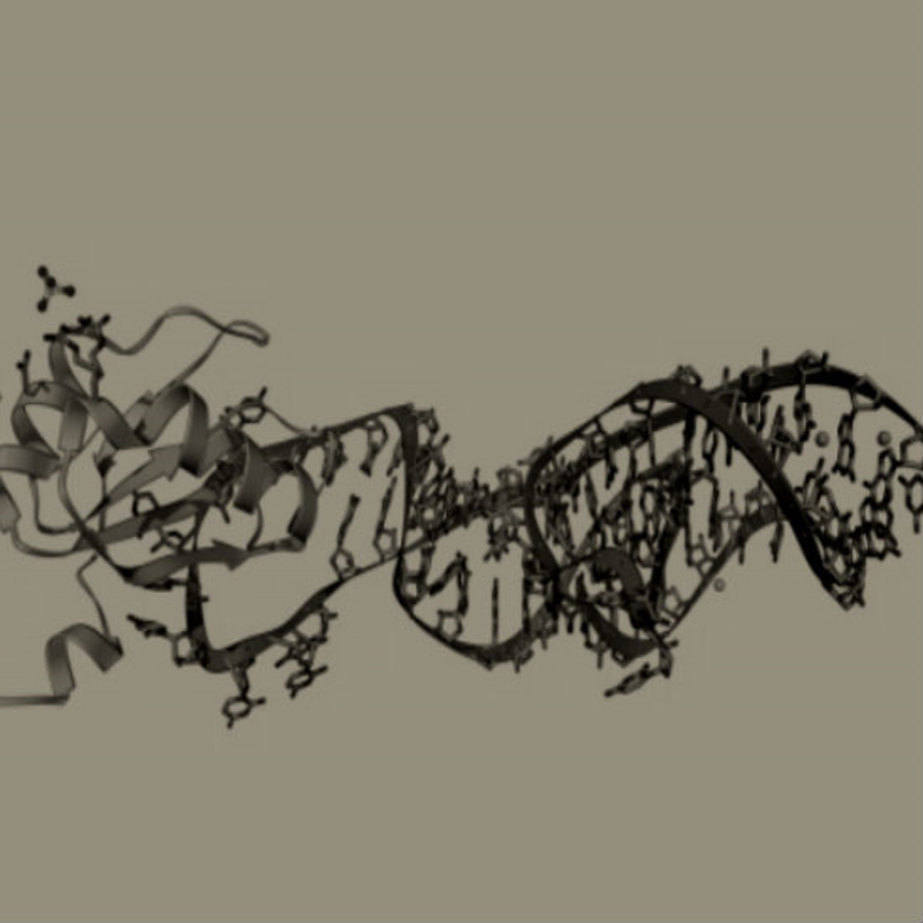 מה זה בכלל RNA? חלק 3 המעבדה The Lab מה זה בכלל RNA? חלק 3