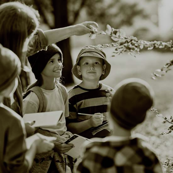 חוזרים ללמוד - פרק 3