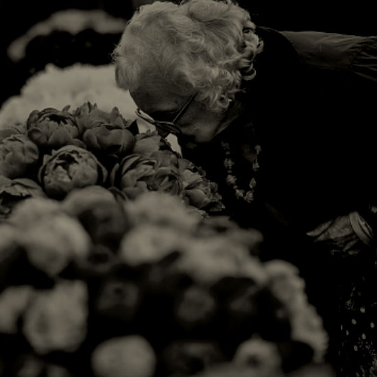 בעקבות הריח: חלק 1