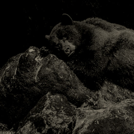 שעונים ביולוגיים: חלק 2