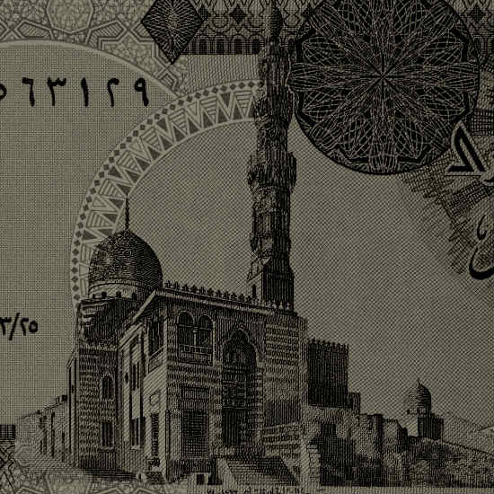 ממלוכים ובעלי חיים: חלק 1