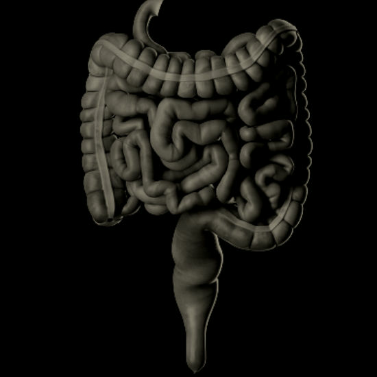 אתגרים בגסטרואנטרולוגיה: חלק 3