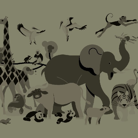 מה בין דובים לבני אדם? חלק 3