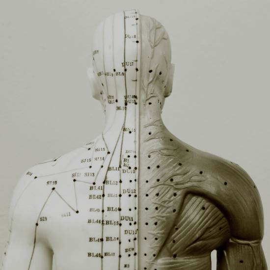 רפואה מערבית ומשלימה משלבות ידיים? - פרק 3